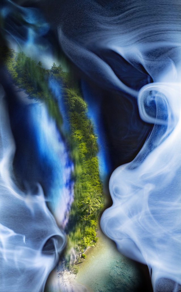 タイジ・テラサキ<br> Paradise Reborn: Rewilding Palmyra<br>ー楽園の再生:パルミラ環礁の再自然化ー