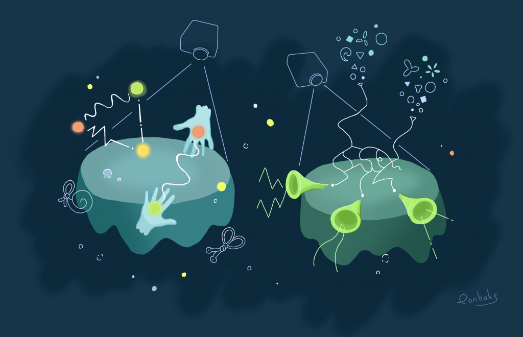 Ponboks: Playing with light in the floating basement