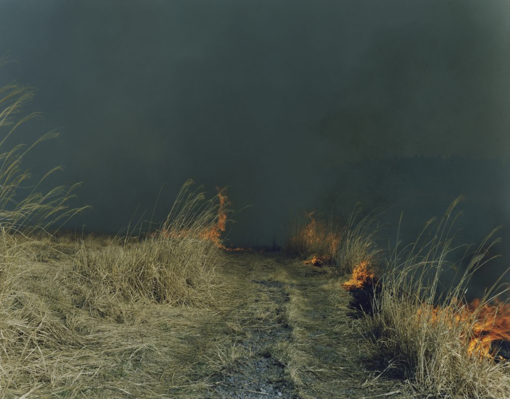 Rinko Kawauchi Solo Exhibition