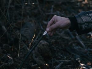 松井宏、エレオノール・マムディアン《冬の庭》 MATSUI Hiroshi and Eléonore MAHMOUDIAN, <i>A Garden in Winter</i>