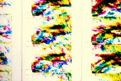 作品図版/画像