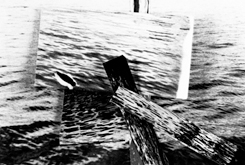 作品図版/画像