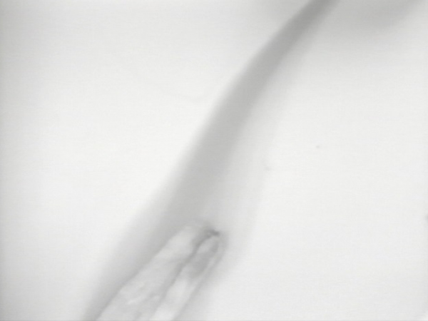 《おんなのさくひん》1973/11分 <i>what a woman made</i>/1973/11min.