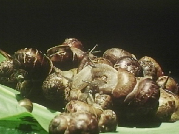 《SOMETHING WITHIN ME》1975/9分30秒 <i>SOMETHING WITHIN ME</i>/1975/9min. 30sec.