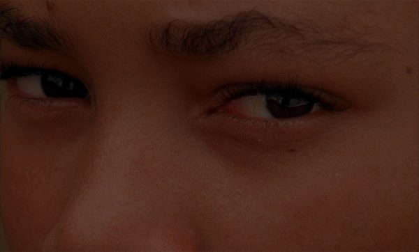 《陸が見えた!》 <em>There is Land!</em>