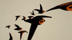 フレデリック・シュルト《ザ・チムニー・スウィフト》 Frédéric SCHULD, The Chimney Swift