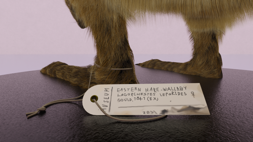 恵比寿映像祭2023委嘱制作作品<br>Hollow-Hare-Wallaby