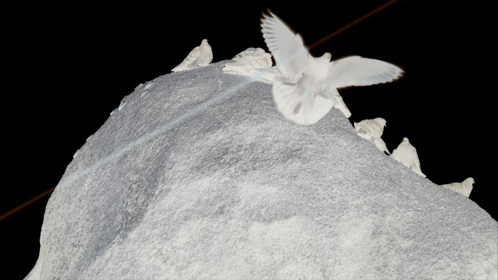 チョン・ソジョン特集〈Overtone―潜む音の層〉