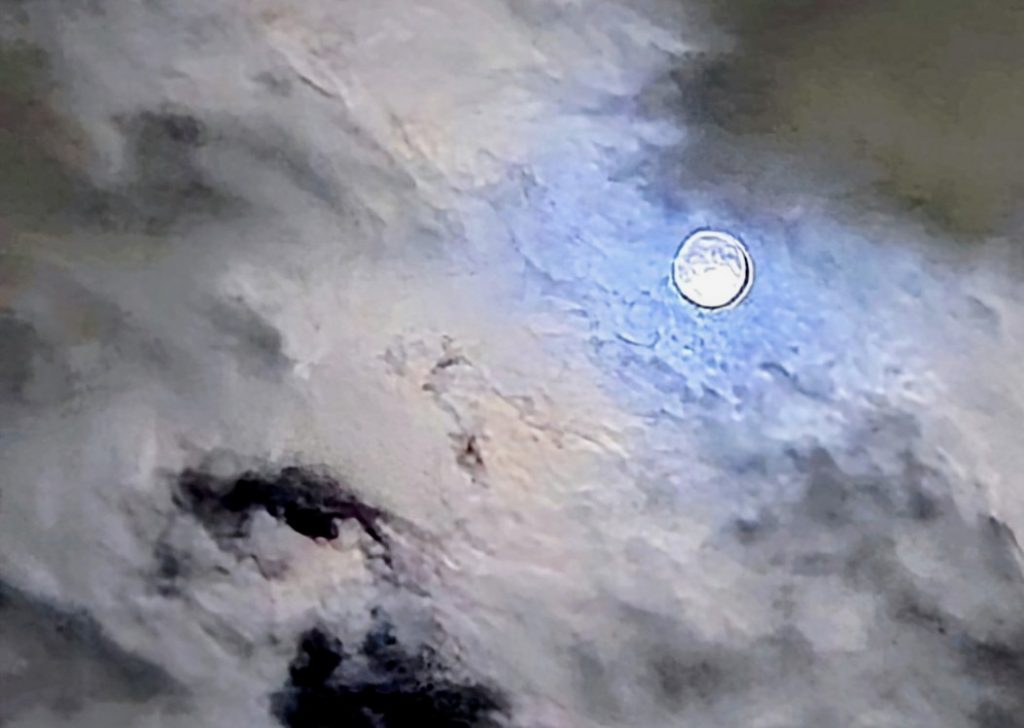 ムーンガーデン　月ノ庭