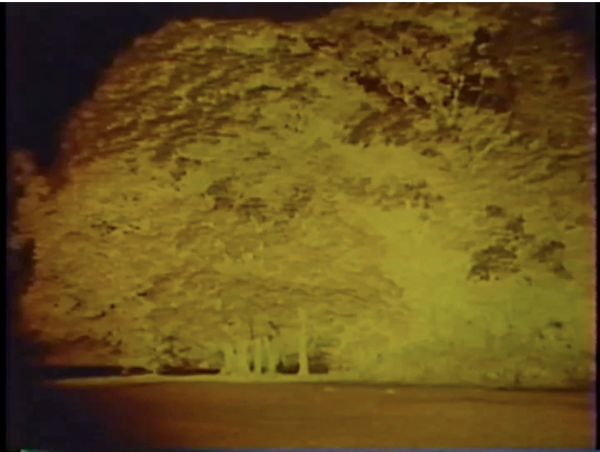 小杉武久《TM》 KOSUGI Takehisa, <i>TM</i>